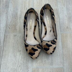 Prada Leopard Haircalf Pointed Toe Pumps - Brown & Black